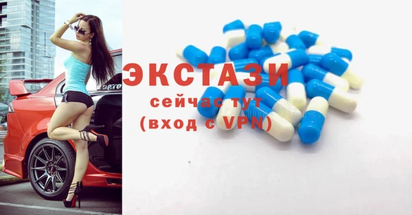индика Армянск