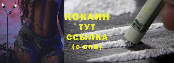 шишки Арсеньев