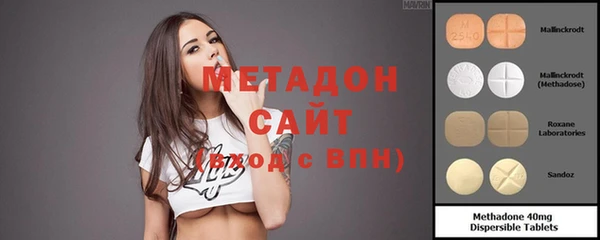 шишки Арсеньев