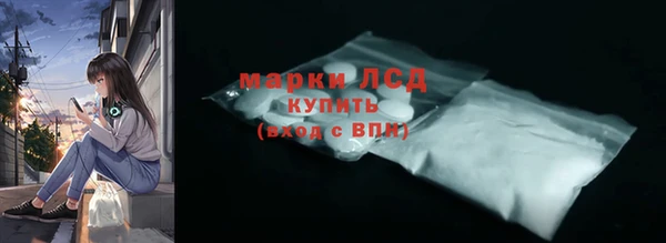 шишки Арсеньев
