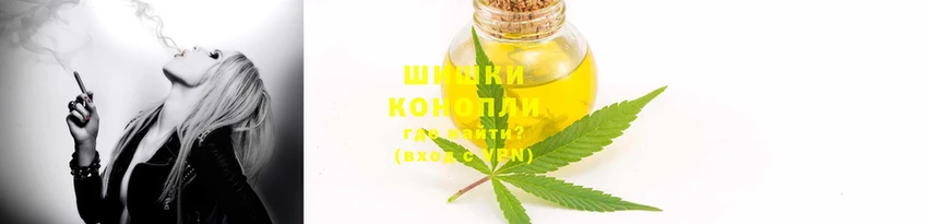шишки Арсеньев