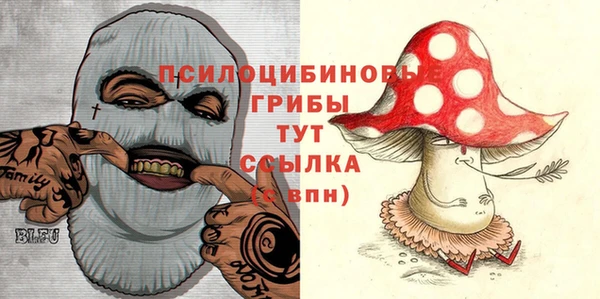 индика Армянск