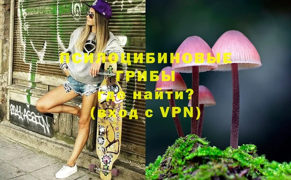 индика Армянск