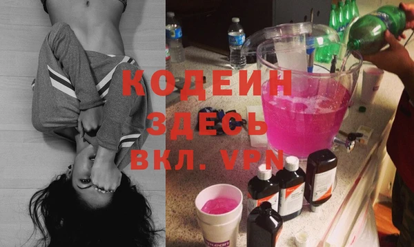 индика Армянск