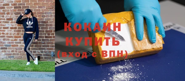 шишки Арсеньев
