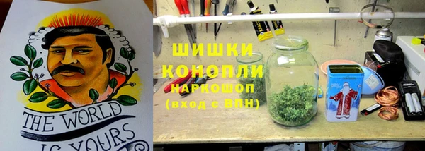 индика Семилуки